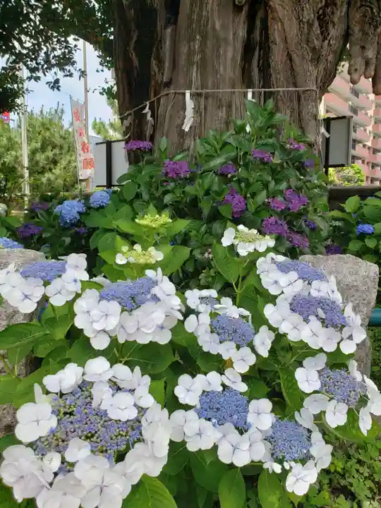 磐井神社(東京都)