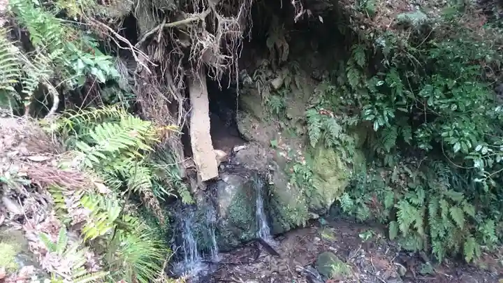熊野若王子神社の自然