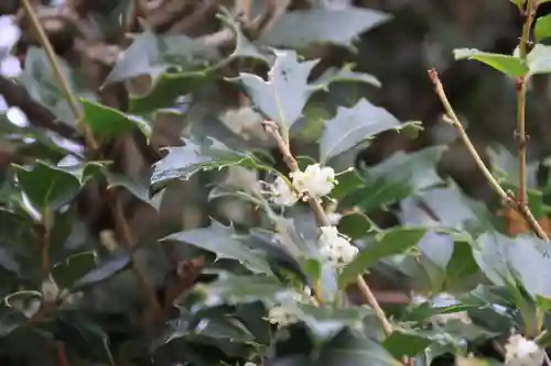 大鏑神社の庭園