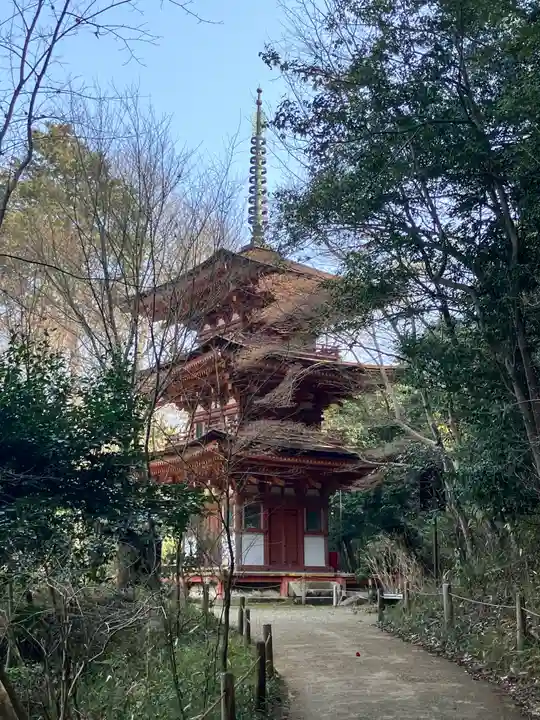 浄瑠璃寺(京都府)