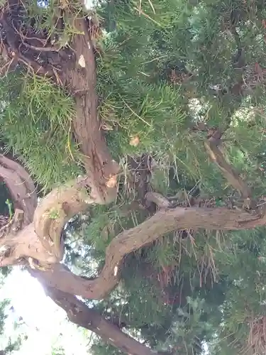 福井神社(福井県)