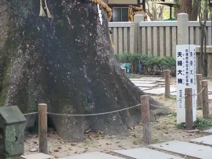 伊弉諾神宮の自然