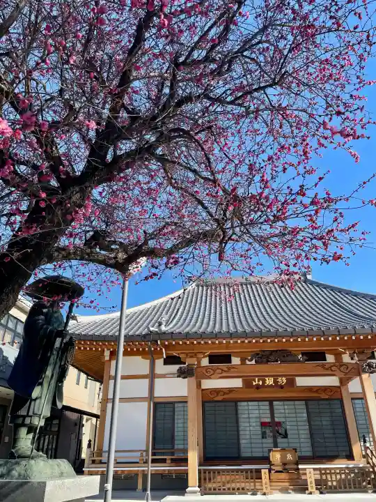 西勝寺の{uncategorized: "未分類", other: "その他", undefined: "問題あり", building: "その他建物", grave: "お墓", sacred_gate: "鳥居", guardian: "狛犬", statue: "像", buddha: "仏像", history: "歴史", nature: "自然", garden: "庭園", animal: "動物", pagoda: "塔", temizu: "手水舎", mountain_gate: "山門・神門", sanctuary: "本殿・本堂", subordinate: "末社・摂社", art: "芸術", scenery: "景色", jizo: "地蔵", ema: "絵馬", goshuin: "御朱印", omikuji: "おみくじ", items: "授与品その他", amulet: "お守り", goshuincho: "御朱印帳", eats: "食事", festival: "お祭り", votive_dance: "神楽", shichigosan: "七五三参", wedding: "結婚式", experience: "体験その他", initially: "初詣", around: "周辺", anti_infection: "感染症対策"}