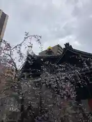 頂法寺（六角堂）(京都府)