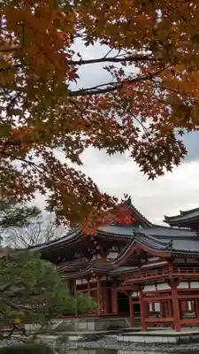 平等院(京都府)