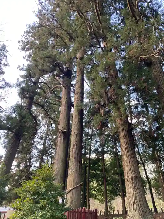 都々古別神社(八槻)の自然