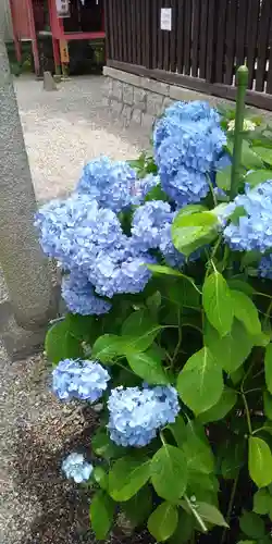 石坐神社の自然