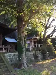 阿治古神社の建物その他