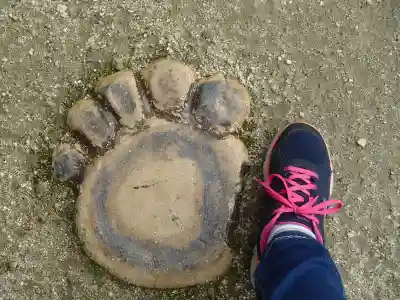 八王子神社のその他建物