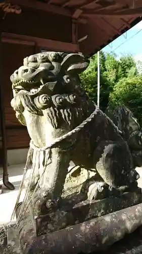 河内阿蘇神社の狛犬