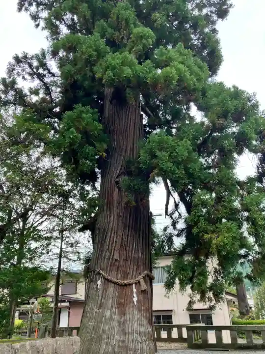 飛驒一宮水無神社(岐阜県)