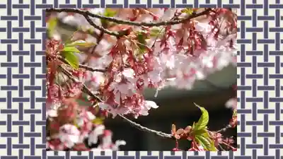 修禅寺(静岡県)