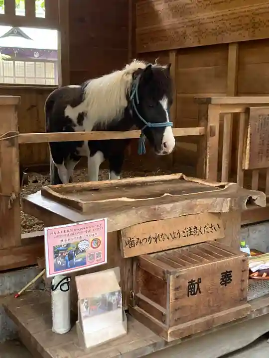 平塚八幡宮(神奈川県)