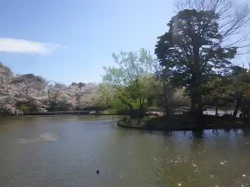 鶴岡八幡宮の庭園