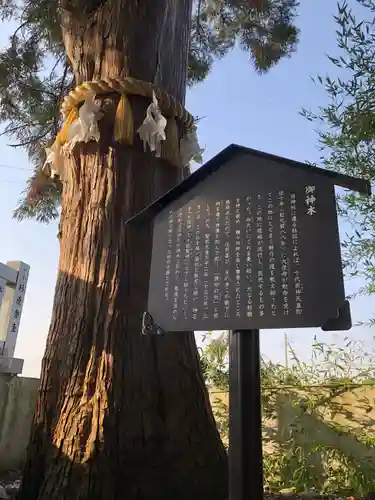 杉原神社の自然