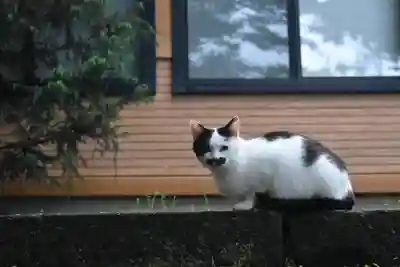 尻岸内八幡神社(北海道)