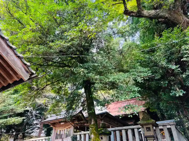天鷹神社(岐阜県)