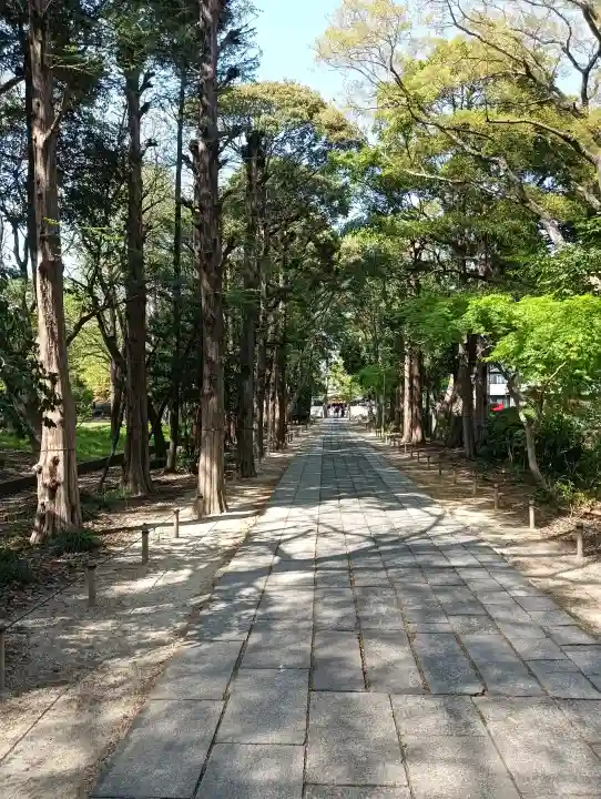 越ヶ谷久伊豆神社の{uncategorized: "未分類", other: "その他", undefined: "問題あり", building: "その他建物", grave: "お墓", sacred_gate: "鳥居", guardian: "狛犬", statue: "像", buddha: "仏像", history: "歴史", nature: "自然", garden: "庭園", animal: "動物", pagoda: "塔", temizu: "手水舎", mountain_gate: "山門・神門", sanctuary: "本殿・本堂", subordinate: "末社・摂社", art: "芸術", scenery: "景色", jizo: "地蔵", ema: "絵馬", goshuin: "御朱印", omikuji: "おみくじ", items: "授与品その他", amulet: "お守り", goshuincho: "御朱印帳", eats: "食事", festival: "お祭り", votive_dance: "神楽", shichigosan: "七五三参", wedding: "結婚式", experience: "体験その他", initially: "初詣", around: "周辺", anti_infection: "感染症対策"}