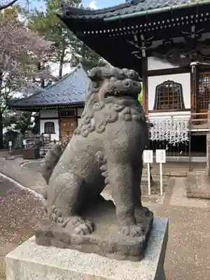 観音寺（世田谷山観音寺）の狛犬