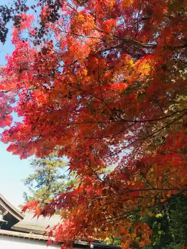 熊野本宮大社の自然