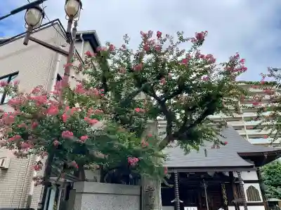 宝性寺(埼玉県)