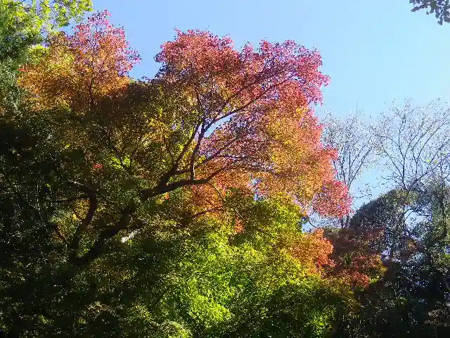 荏柄天神社の自然