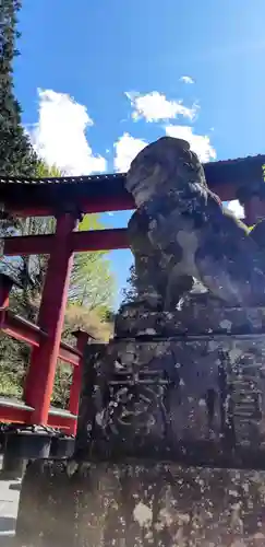 北口本宮冨士浅間神社の狛犬