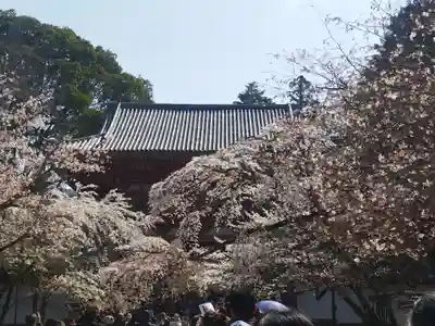 醍醐寺(京都府)