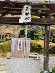 今熊野観音寺(京都府)