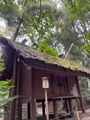 伊勢神宮内宮（皇大神宮）(三重県)