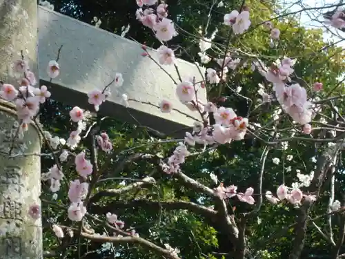 荏柄天神社の自然