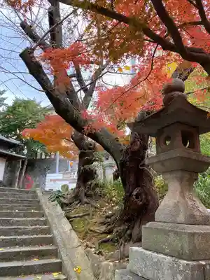 紅葉八幡宮(福岡県)