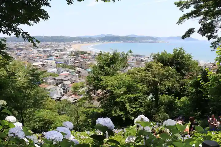 長谷寺(神奈川県)