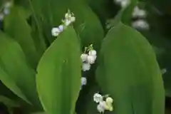 阿邪訶根神社の庭園