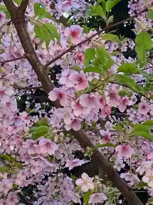 中山神社の{uncategorized: "未分類", other: "その他", undefined: "問題あり", building: "その他建物", grave: "お墓", sacred_gate: "鳥居", guardian: "狛犬", statue: "像", buddha: "仏像", history: "歴史", nature: "自然", garden: "庭園", animal: "動物", pagoda: "塔", temizu: "手水舎", mountain_gate: "山門・神門", sanctuary: "本殿・本堂", subordinate: "末社・摂社", art: "芸術", scenery: "景色", jizo: "地蔵", ema: "絵馬", goshuin: "御朱印", omikuji: "おみくじ", items: "授与品その他", amulet: "お守り", goshuincho: "御朱印帳", eats: "食事", festival: "お祭り", votive_dance: "神楽", shichigosan: "七五三参", wedding: "結婚式", experience: "体験その他", initially: "初詣", around: "周辺", anti_infection: "感染症対策"}