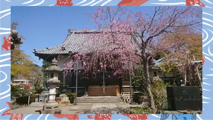 大蔵院(群馬県)