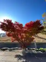 伊勢の国 四天王寺(三重県)