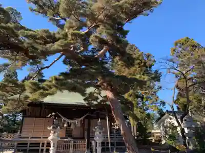 香久山神社の本殿・本堂