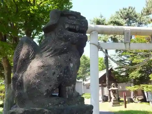 丘珠神社の狛犬