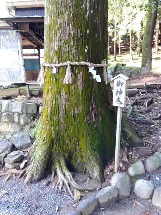 石座神社(愛知県)