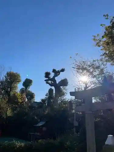 難波大社　生國魂神社のその他建物