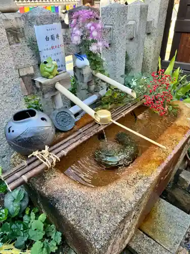 金札宮(京都府)