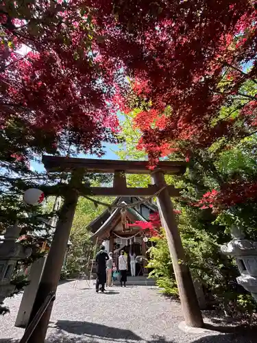 平岸天満宮・太平山三吉神社の鳥居