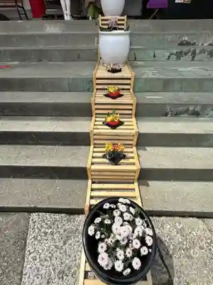 徳島眉山天神社(徳島県)