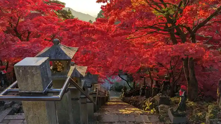大山寺(神奈川県)