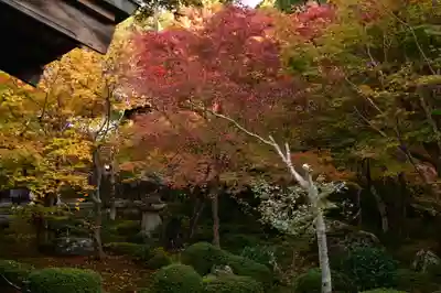 圓光寺(京都府)