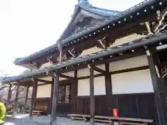 豪徳寺の本殿