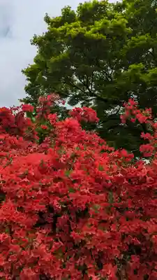 長岡天満宮(京都府)