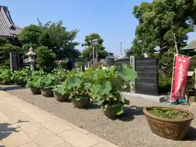 要法寺(神奈川県)
