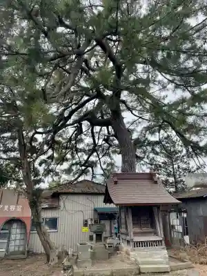 第六天神社の{uncategorized: "未分類", other: "その他", undefined: "問題あり", building: "その他建物", grave: "お墓", sacred_gate: "鳥居", guardian: "狛犬", statue: "像", buddha: "仏像", history: "歴史", nature: "自然", garden: "庭園", animal: "動物", pagoda: "塔", temizu: "手水舎", mountain_gate: "山門・神門", sanctuary: "本殿・本堂", subordinate: "末社・摂社", art: "芸術", scenery: "景色", jizo: "地蔵", ema: "絵馬", goshuin: "御朱印", omikuji: "おみくじ", items: "授与品その他", amulet: "お守り", goshuincho: "御朱印帳", eats: "食事", festival: "お祭り", votive_dance: "神楽", shichigosan: "七五三参", wedding: "結婚式", experience: "体験その他", initially: "初詣", around: "周辺", anti_infection: "感染症対策"}